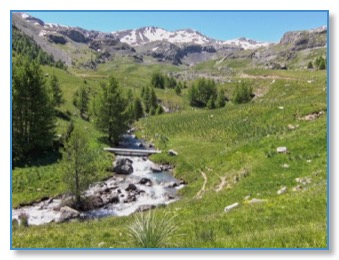 Vallée alpine rivière