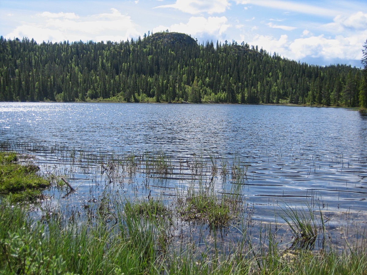 Lac paisible