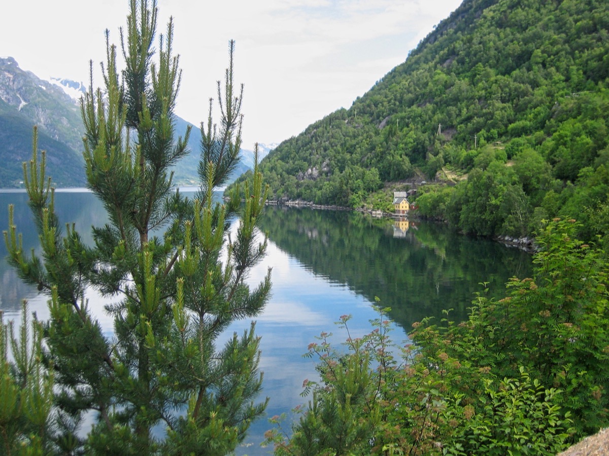 Petite maison au bord du fjord