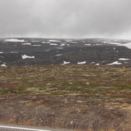 J09_Lichen_L_1200.jpeg