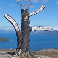 J14_Arbre_L_1200.jpeg