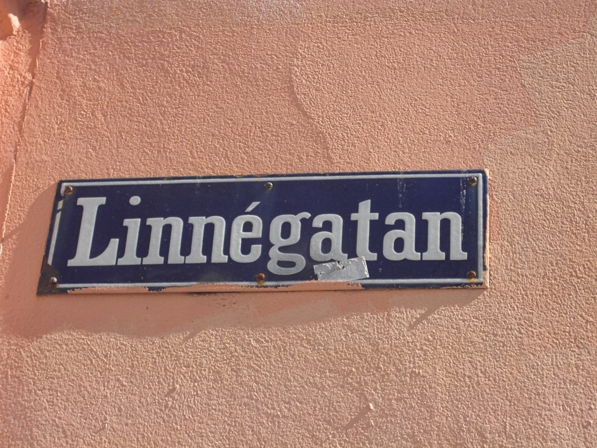 Rue Linné