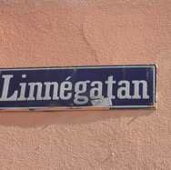 J22_Linnegatan_L_1200.jpeg