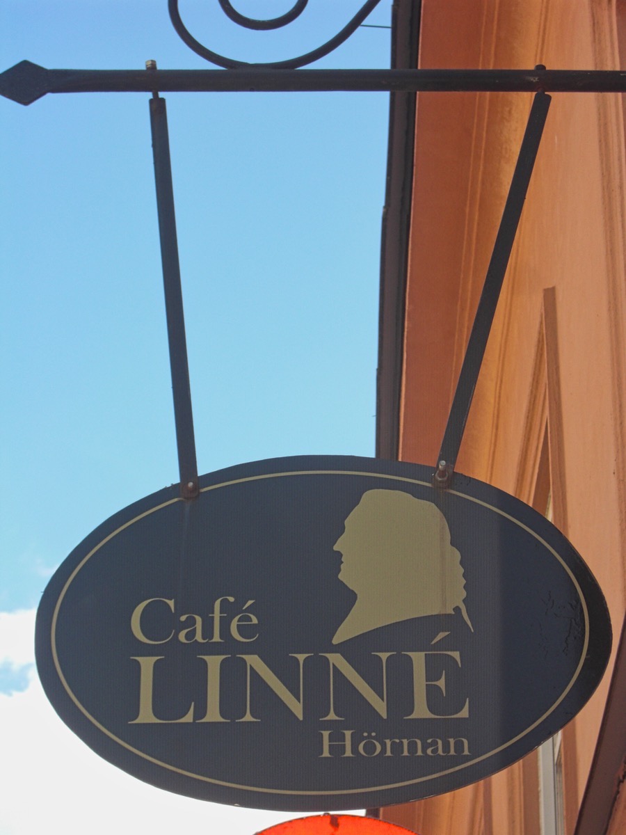 Café Linné