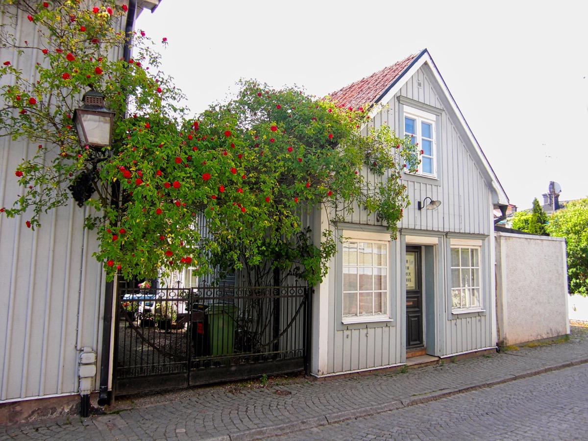 Rosa Garden