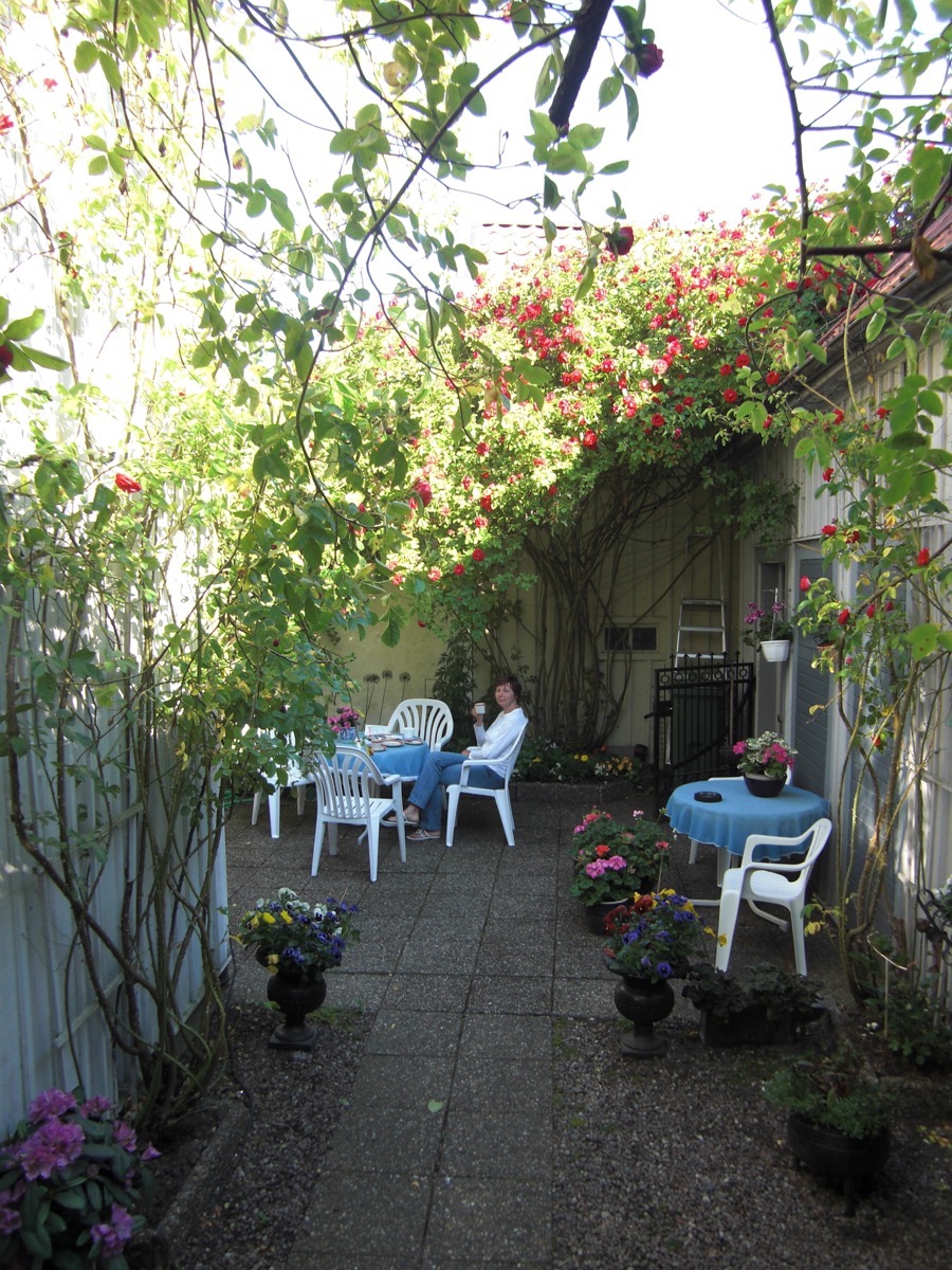 Petit déjeuner à Rosa Garden