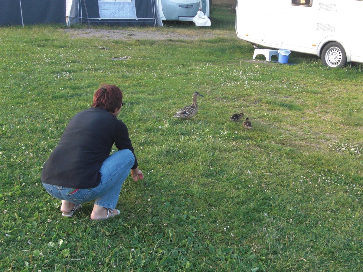 Isa et les canards