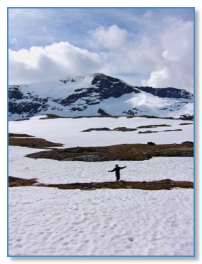Fred Neige