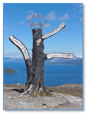 J14_Arbre_L_350