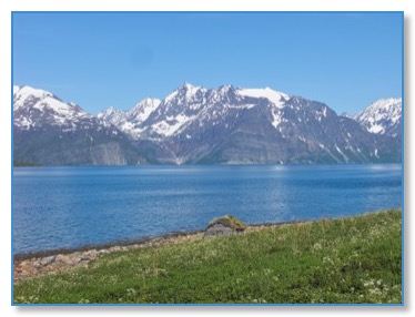 J14_Fjord_Cabin_L_350